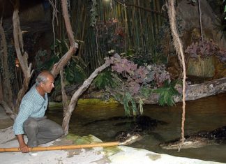 La Città della Domenica si prepara a un altro weekend con “Wild Sunday”