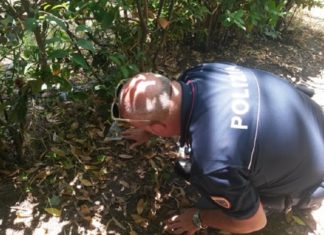 Trovato un teschio nello Spoletino