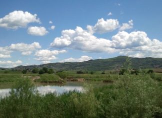 Trasimeno: al via il censimento internazionale degli uccelli acquatici
