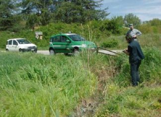Sostanza turchese in un canale. Indaga il Corpo Forestale dello Stato