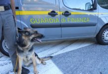 La Guardia di Finanza recupera 200 grammi di hascisc, un arresto