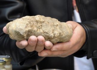 30^ Mostra Mercato del Tartufo e della Patata Bianca