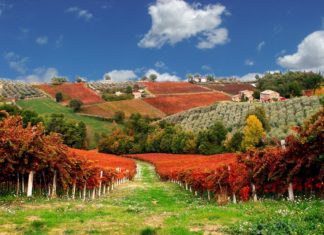 Arte, trekking, musica: gli eventi della Strada del Sagrantino