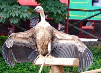 Città della Domenica: aperta tutti i giorni a partire dal 1° aprile