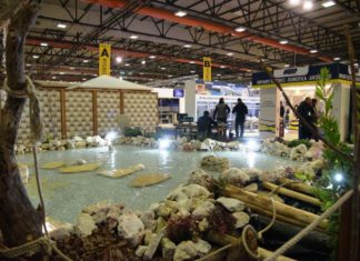 Expo Casa al via “col botto”