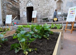 Autoproduzione e rilancio degli orti urbani: a Perugia c’è Ortinfiore
