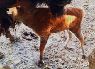 Alla Città della Domenica nasce “Luce di fuoco”