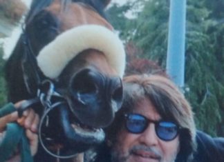 Ippica: un purosangue ternano tenta il bis al “Carlo D’Alessio”