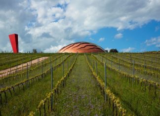 Cantine Aperte “in famiglia” alla Cantina Carapace