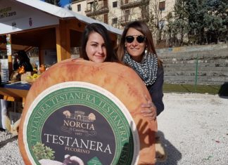 Minirugby: il Gruppo Grifo Alimentare al Torneo “Città di Perugia”