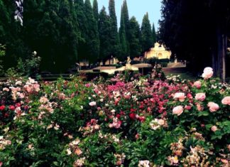 Conto alla rovescia per “I Giorni delle Rose”: la 5^ edizione