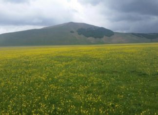 Vigili del Fuoco al lavoro sulla Forca Canapine