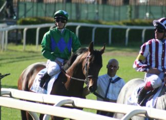 Il purosangue umbro Mac Mahon ha conquistato il derby italiano a Roma