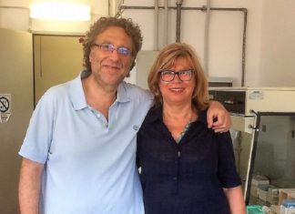 Toxoplasma: trovato un punto “debole”