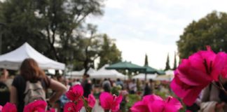 "Perugia Flower Show": ai Giardini del Frontone