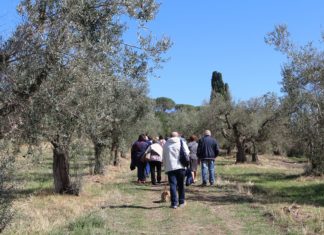 Tra natura e benessere la "Passeggiata del Cuore"