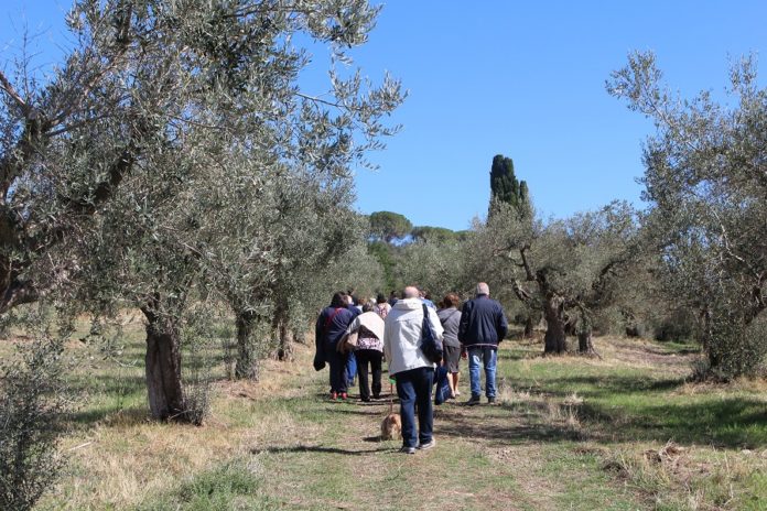 Tra natura e benessere la 