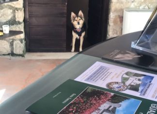 Gualdo Tadino: il polo museale della città è "per friendly"