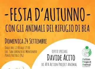 Perugia: il Rifugio di Bea festeggia l'autunno