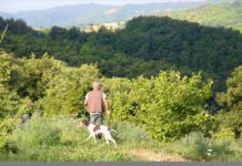 Valtopina: Mostra mercato del tartufo e dei prodotti tipici