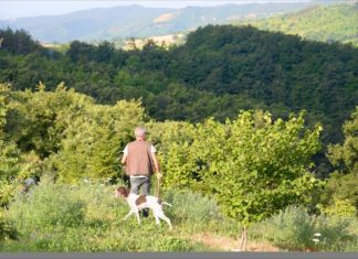 Valtopina: Mostra mercato del tartufo e dei prodotti tipici