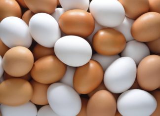 Uova contaminate: il vertice in Regione