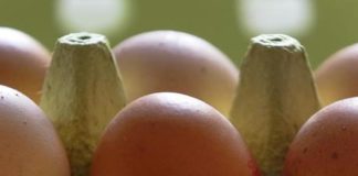 Uova contaminate, altro caso in Umbria