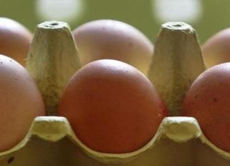 Uova contaminate, altro caso in Umbria