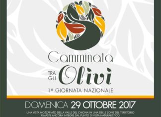 A Spello “Una camminata tra gli olivi”