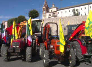 Ad Amelia il “Raduno mezzi agricoli e industriali”