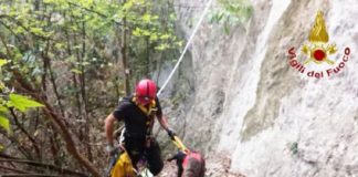 Cane finisce in un dirupo: salvato dai Vigili del Fuoco