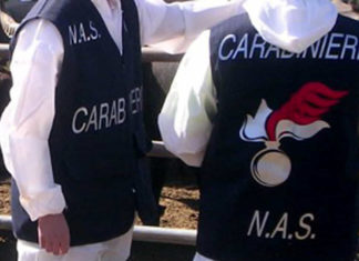 Al ristorante servono tonno scaduto: due clienti finiscono al pronto soccorso