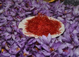 17° mostra zafferano purissimo di Cascia