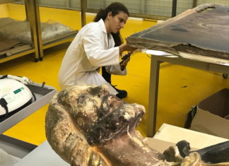 Mibact visita le opere ferite dal sisma