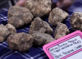 A Valtopina si apre la 37^ Mostra mercato del tartufo