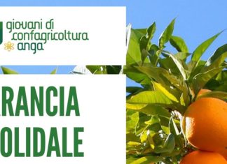 Dalla Sicilia con i giovani di Confagricoltura l'arancia "solidale" per Norcia
