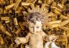 Ad Assisi il Bambinello riposa tra i bozzoli di proiettile