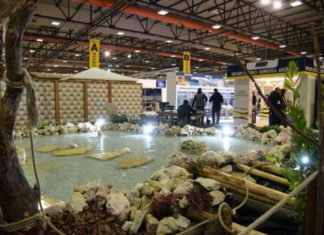 Expo Casa ai nastri di partenza