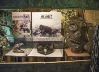 Spazio alla preistoria con la mostra del rettilario della Città della Domenica