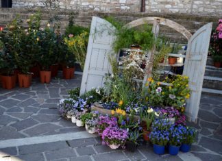 Inaugurata la seconda edizione di Orti Fioriti a Corciano