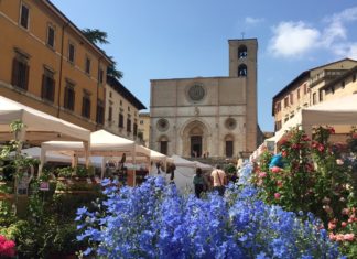 T'Odi, l'arte di Ceccobelli vista dall'alto apre il Festival cittadino