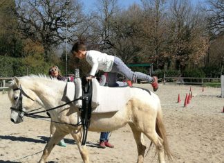 Bilancio positivo per EquiGinnasticand