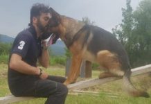 Morto avvelenato il cane-eroe di Amatrice Kaos