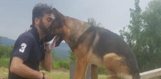 Morto avvelenato il cane-eroe di Amatrice Kaos