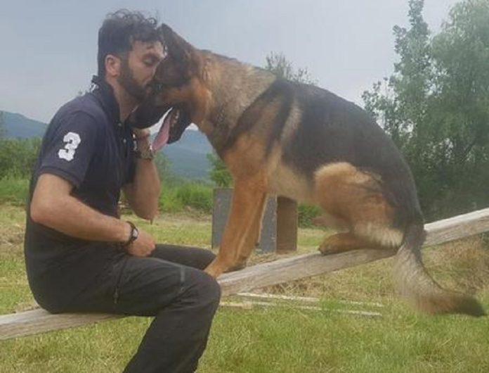 Morto avvelenato il cane-eroe di Amatrice Kaos