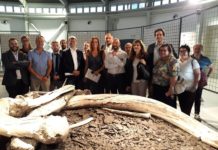 Museo Paleontologico, Bergonzoni: "Il mistero è pronto"