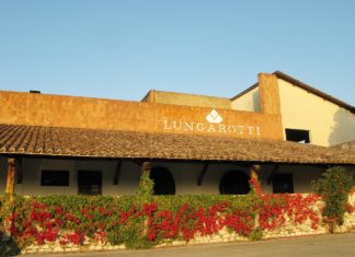 Lungarotti: cantine aperte tra cultura e appuntamenti golosi