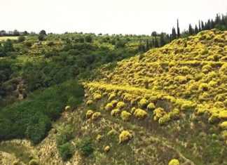 Confagricoltura Umbria: “La Riserva del Monte Peglia un valore aggiunto per la ripartenza”