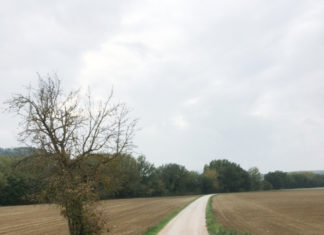 Marsciano: presto i lavori per un nuovo tratto di acquedotto tra Marsciano e Morcella
