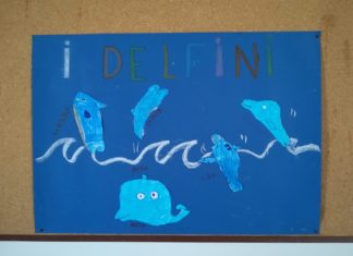 Attività estive gratuite in cinque comuni dell’amerino-narnese